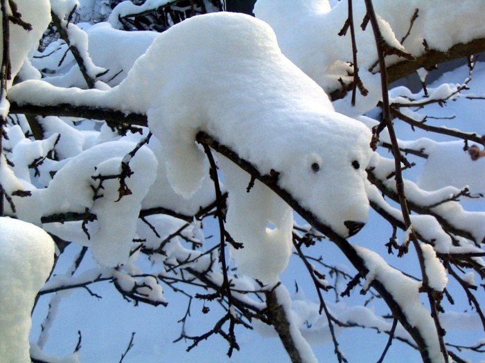 Зимняя программа  «Снежные скульпторы»